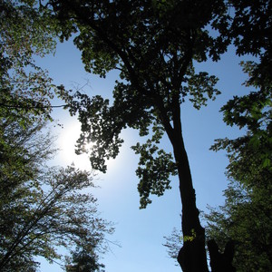 1bte87l_2016-09-08 16-46-26.JPG